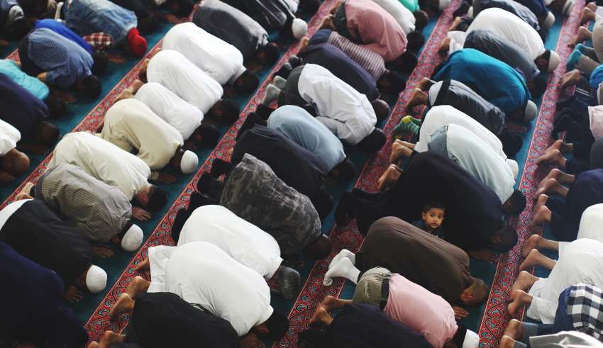 Understanding Islam and Muslims